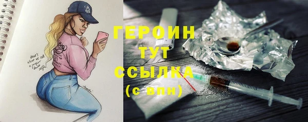 ГАЛЛЮЦИНОГЕННЫЕ ГРИБЫ Богданович
