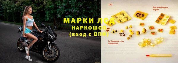 ГАЛЛЮЦИНОГЕННЫЕ ГРИБЫ Богданович