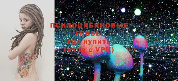 ГАЛЛЮЦИНОГЕННЫЕ ГРИБЫ Богданович