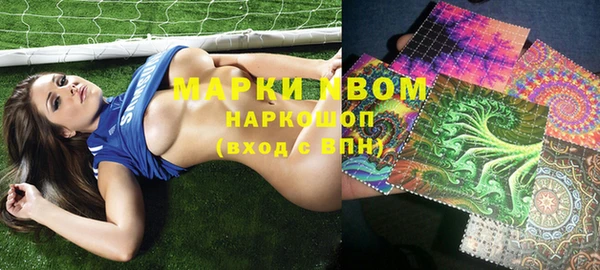 ГАЛЛЮЦИНОГЕННЫЕ ГРИБЫ Богданович