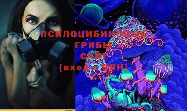 амф Богородицк