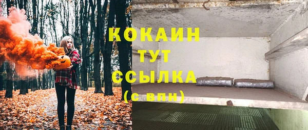 ГАЛЛЮЦИНОГЕННЫЕ ГРИБЫ Богданович